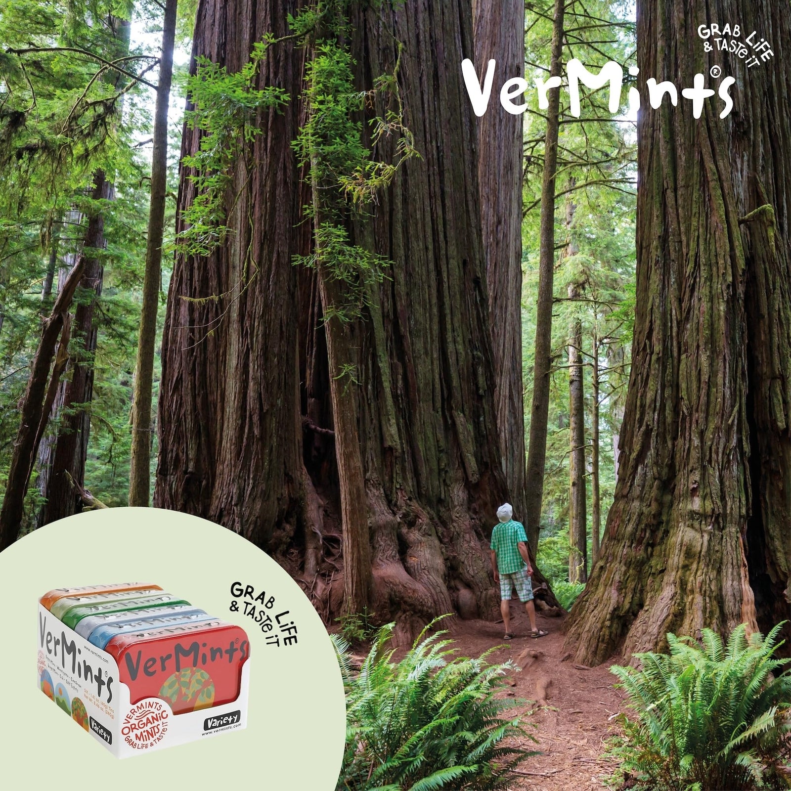 Organic Mint Variety Pack 6 Tins 1.41Oz Vegan Gluten Free Delicious Flavor
