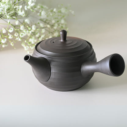 Japanese Kyusu Set - Teapot with Filters (270ml) and Two Cups