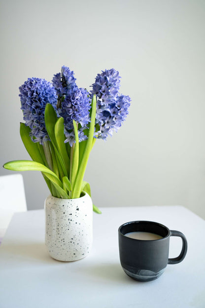 Handmade Porcelain Coffee Mug. Iceland